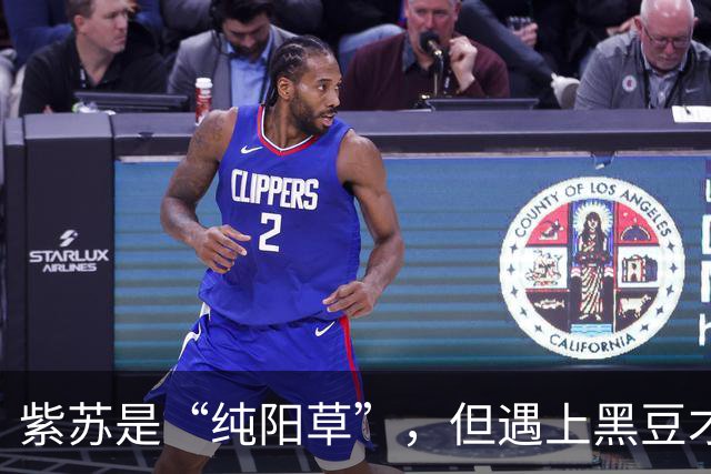紫苏是“纯阳草”，但遇上黑豆才是绝配！入伏前每天喝一碗