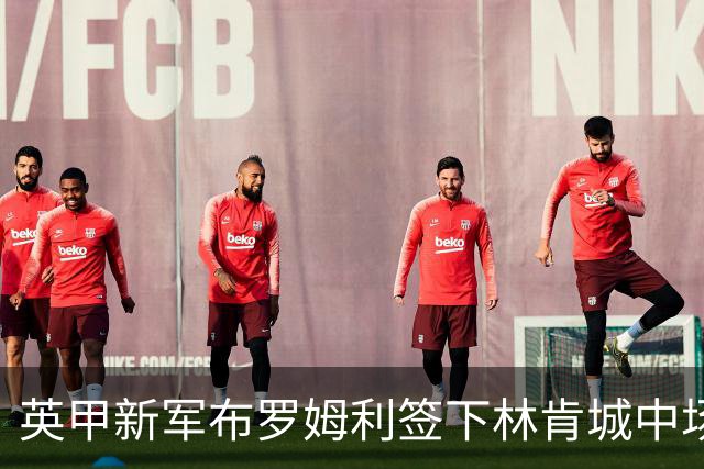 英甲新军布罗姆利签下林肯城中场麦基尔南，转会费未公开